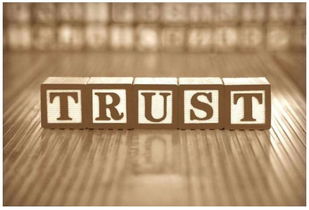 離岸資產(chǎn)規(guī)劃入門 巧用信托保護(hù)您的美國(guó)房產(chǎn) 李娟房地產(chǎn)經(jīng)紀(jì)