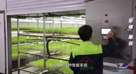 我有一根“蘑”法棒丨科創(chuàng)Z世代 人工智能基礎(chǔ)軟件開發(fā)